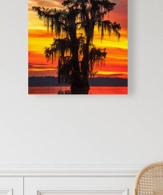 Last Light Over Lake Verret by Andy Crawford