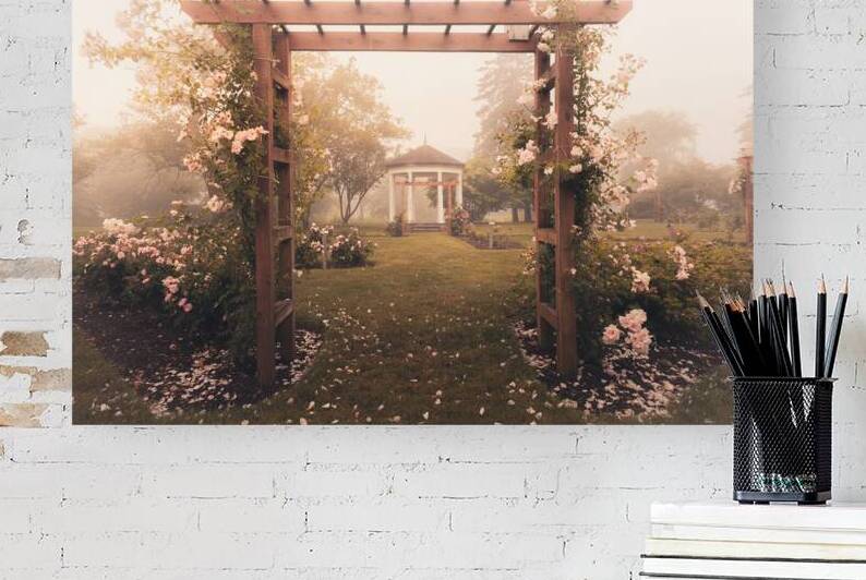 Allentown Rose Gardens Arbor in the Mist by Jason Fink