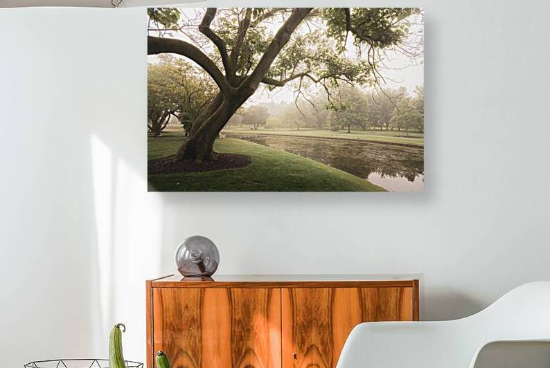 Rose Gardens Tree Over a Pond by Jason Fink