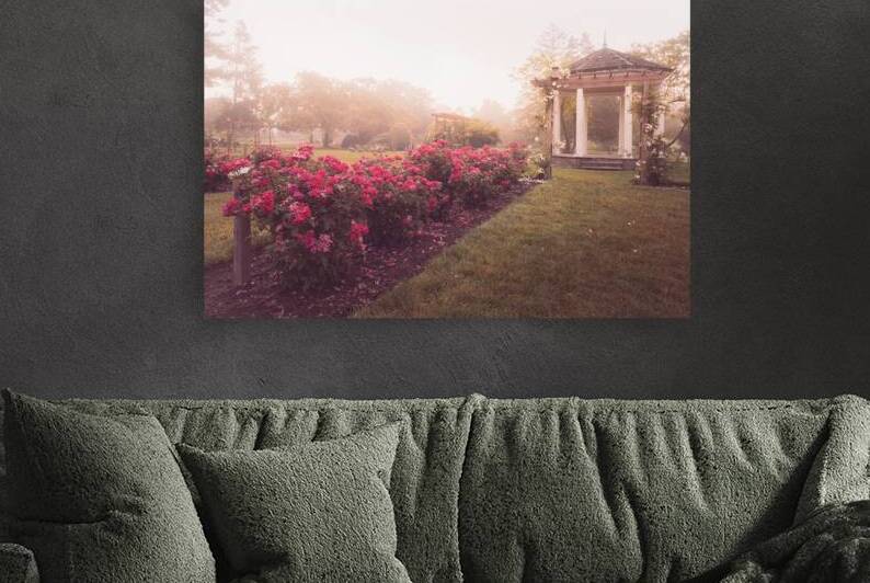 Gazebo and Roses in the Mist by Jason Fink
