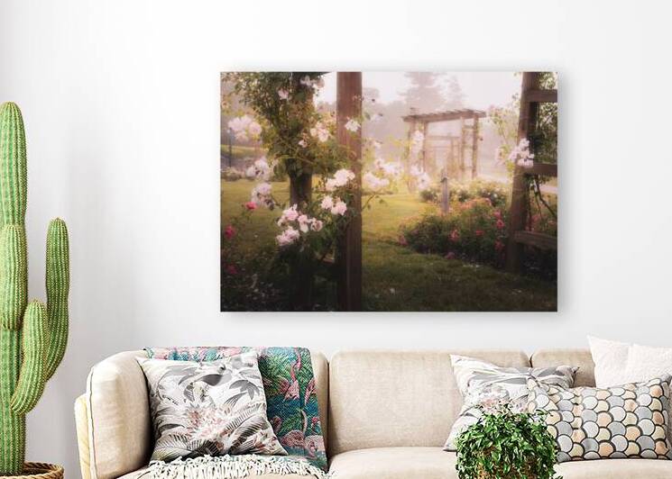 Allentown Rose Garden   Through the Arbors by Jason Fink