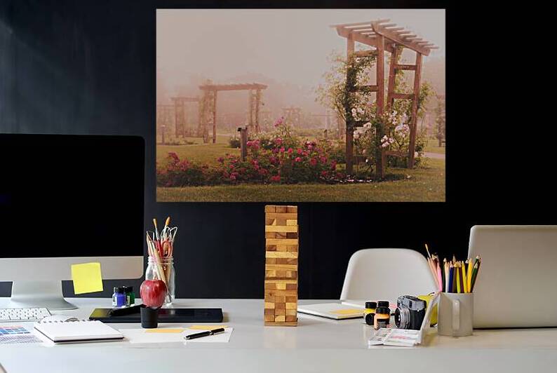 Allentown Rose Gardens Arbors In the Mist by Jason Fink