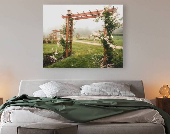 Allentown Rose Gardens Row of Arbors by Jason Fink