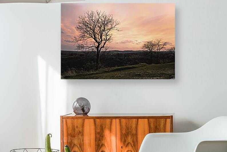 Bleak Horizon by Jason Fink