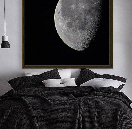 Curse the Sun Howl at the Moon by After The Shutter Photography