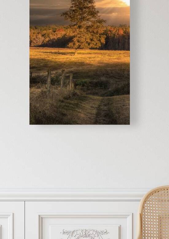 Baldwin Beef Farm Pond Reflections by Norma Brandsberg Photography