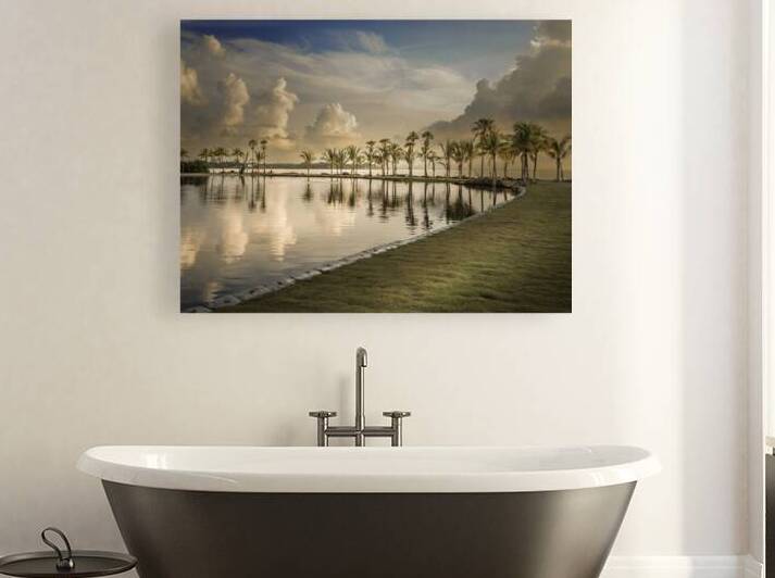 Palm Serenade at Sunrise by Exist2shoot Photography