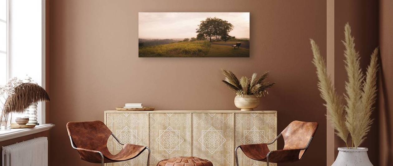 A Bench with a View by Jason Fink