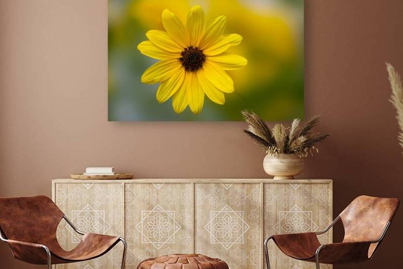 Sunflower by Joan Han