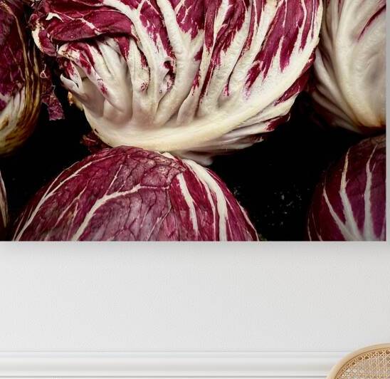 Radicchio Italian Chicory by Bill Swartwout Photography