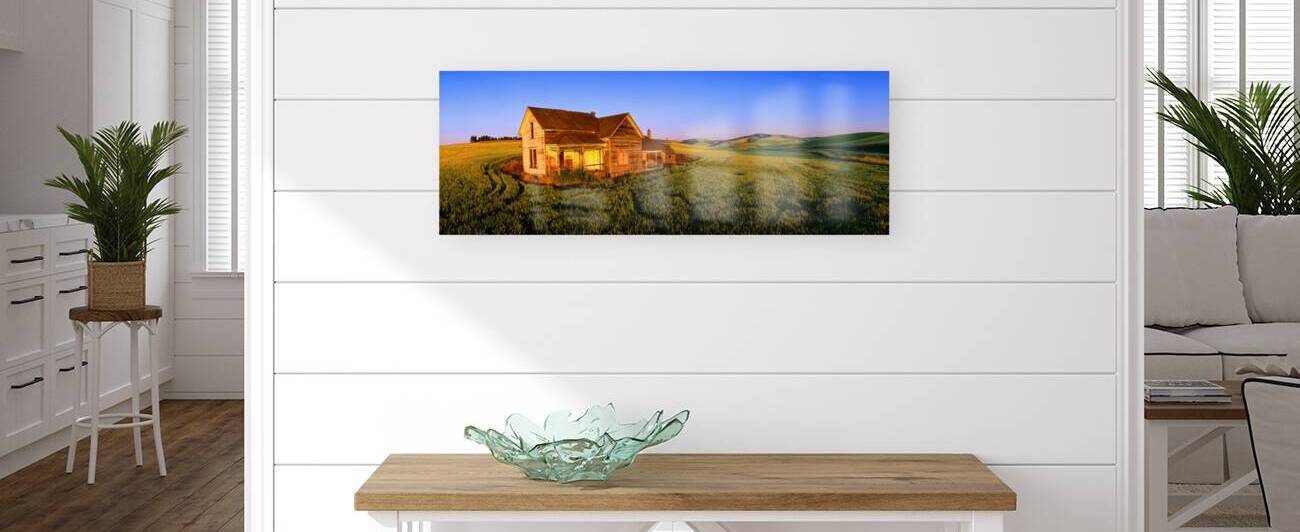 Abandoned Beauty by John Shephard