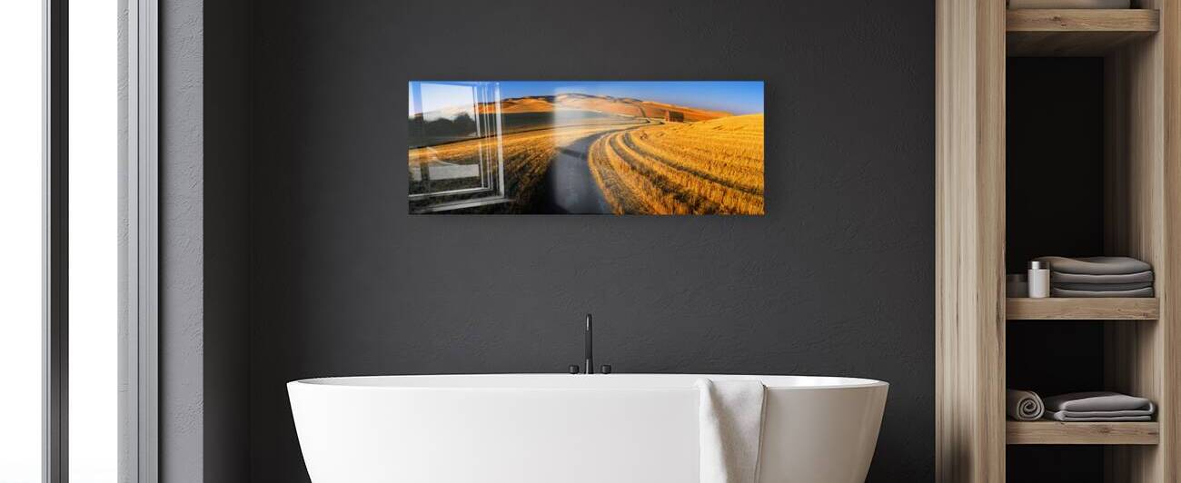 Harvest Road by John Shephard