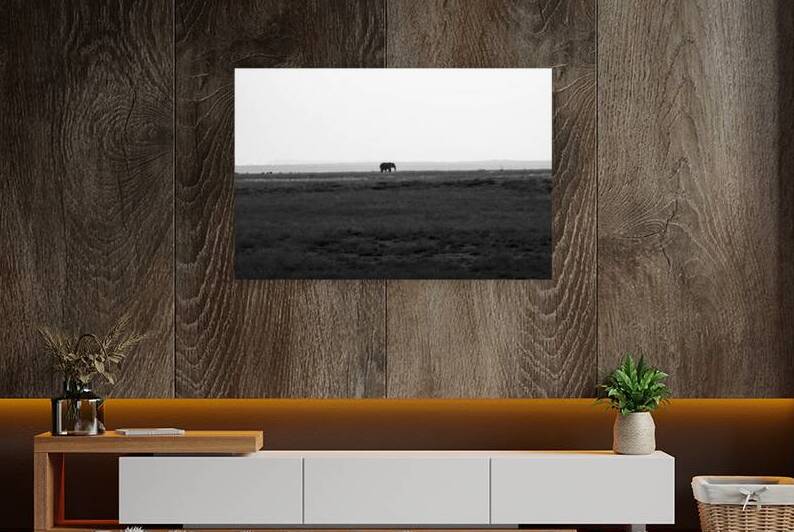 Elephant Amboseli National Park Kenya by Randy Roy Photography