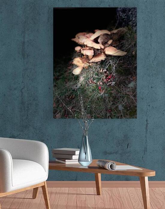 Scenes from the Trail- Forest Mushrooms with Berries by Catriona Roberts Nature Photography and Designs