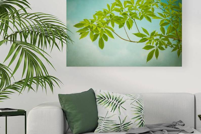 Tabebuia Green Leaves over Water X102 by Rich Franco