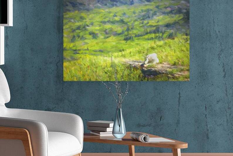 Rocky Mountain Goat Glacier National Park X109  by Rich Franco