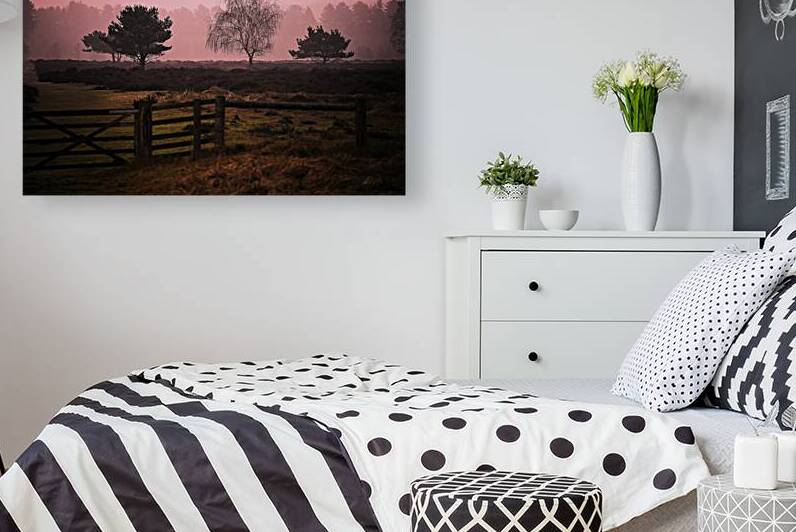 Forest of Red by RawBeltPhotos