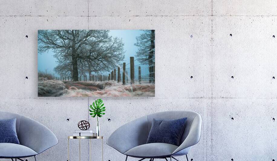 Blue Christmas by RawBeltPhotos