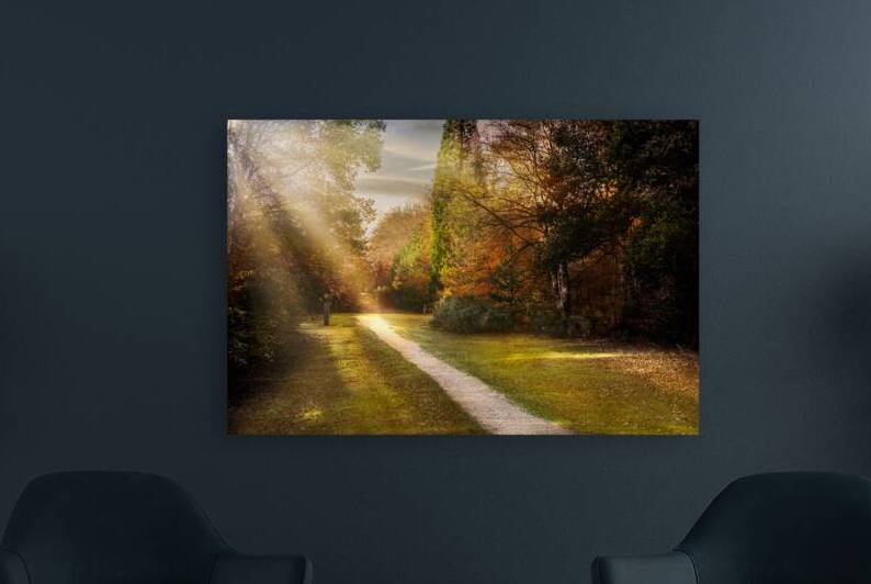 Brandon UK path by RawBeltPhotos