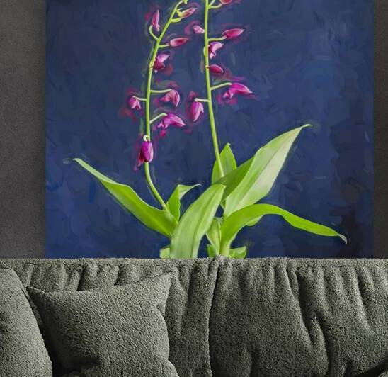 Dendrobium Orchids 105 by Rich Franco