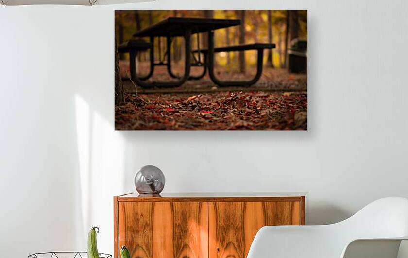 Newport News Park 111 by RawBeltPhotos