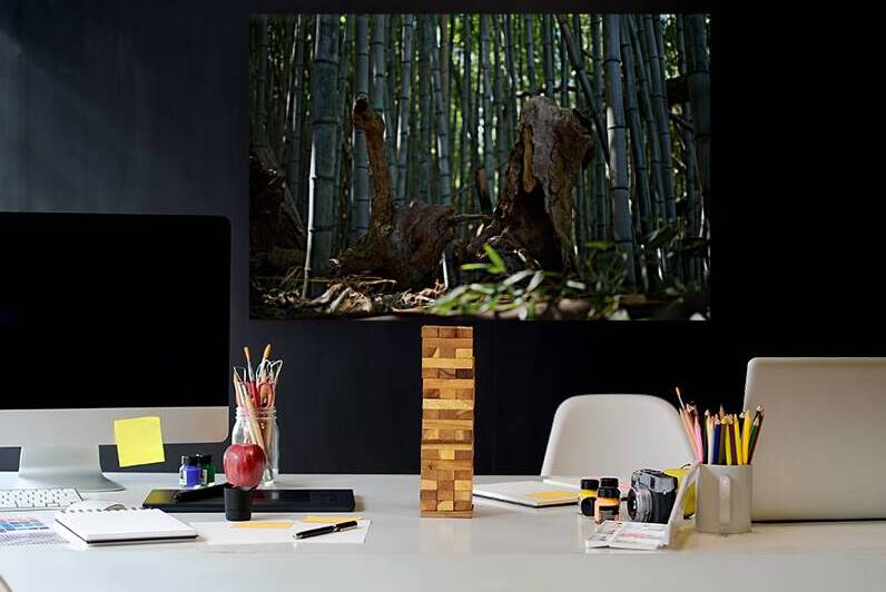 Bamboo Abstract by RawBeltPhotos