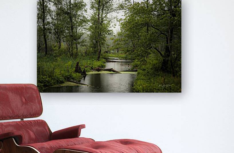 Swampy Yorktown by RawBeltPhotos