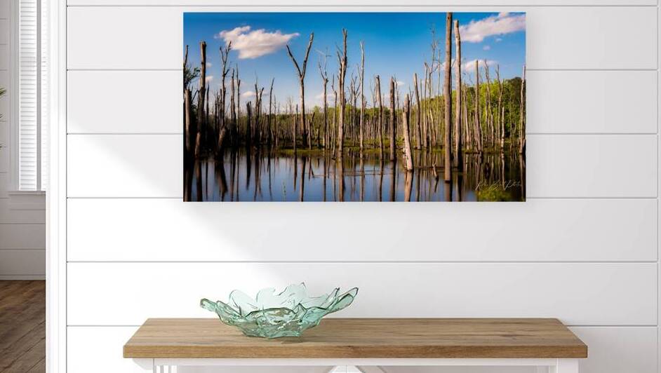 Stick in the Mud 7940 by RawBeltPhotos