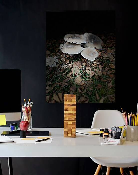 Scenes from the Trail -Autumnal Forest Mushroooms by Catriona Roberts Nature Photography and Designs