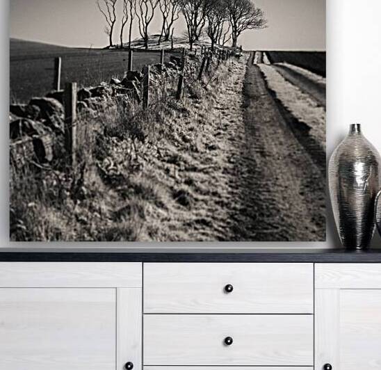 Fields End Grove by Dave Bowman