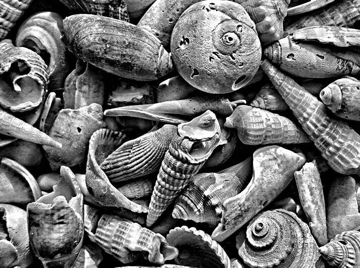 20150810 091616 01 01 01300 by David Cochran