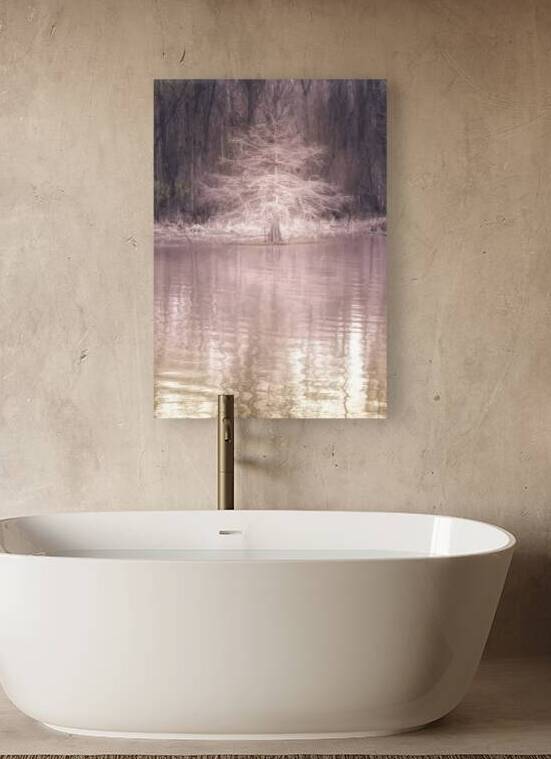 Louisiana Fausse Point State Park  Cypress Tree by Norma Brandsberg Photography