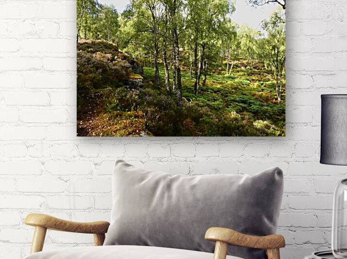 Spring Calls for the Scottish Highlands by Catriona Roberts Nature Photography and Designs