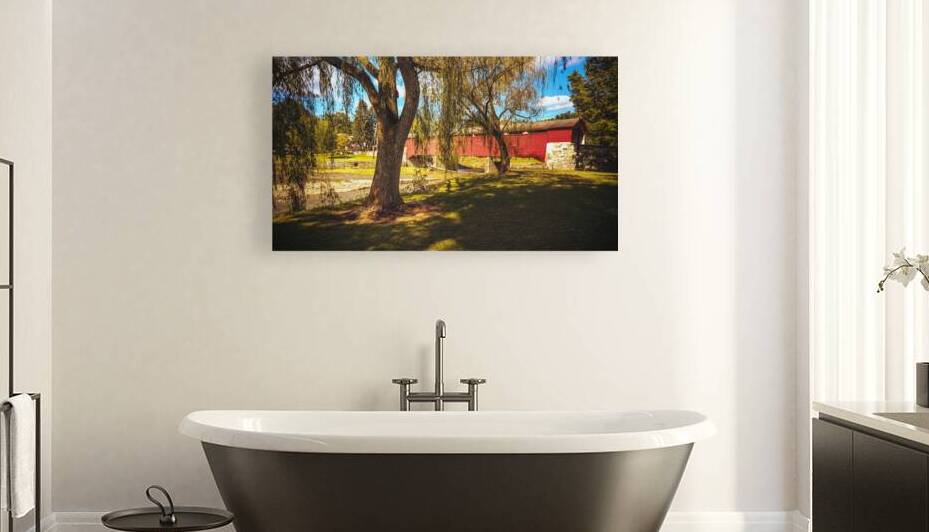 Under the Weeping Willow at Covered Bridge Park by Jason Fink