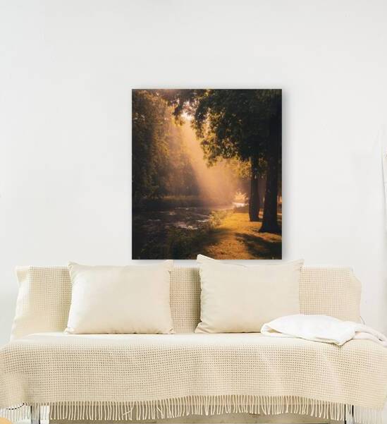 Sunlight on Jordan Creek by Jason Fink