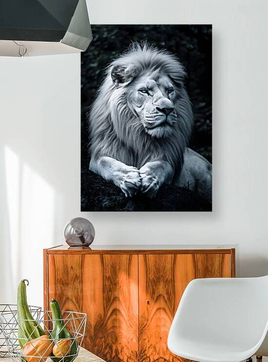 Regal White Lion Portrait by Fab Haven