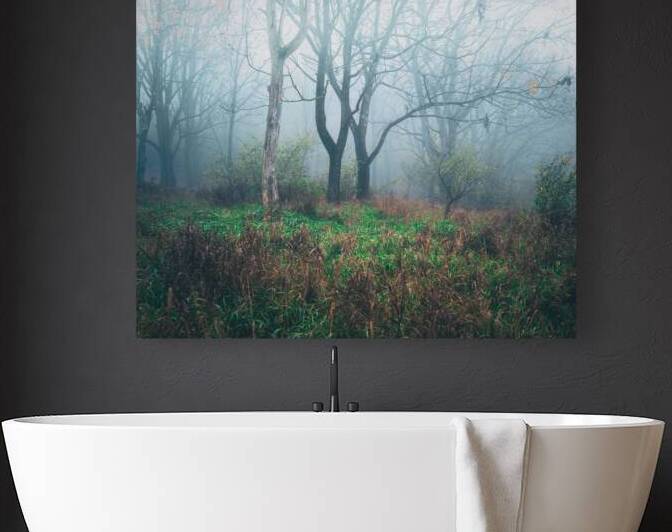 Cool Autumn Fog Trexler Nature Preserve by Jason Fink