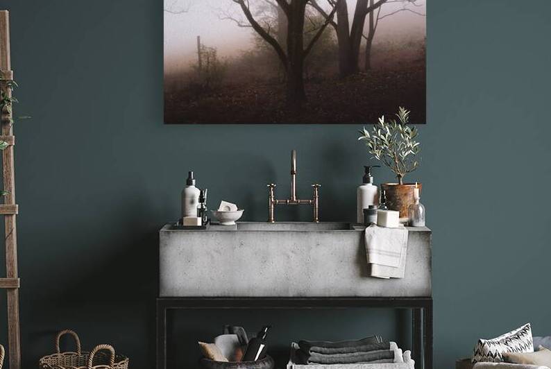 Autumn Fog Trexler Nature Preserve by Jason Fink