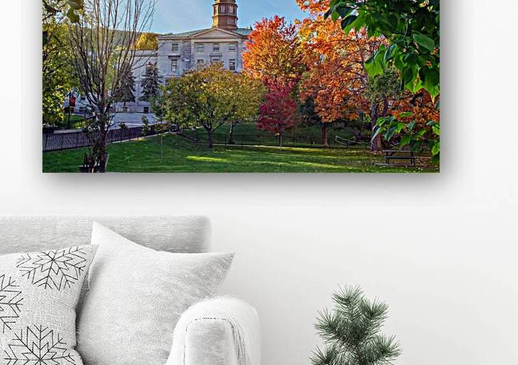 Fall colors McGill campus in Montreal by DELPHIMAGES