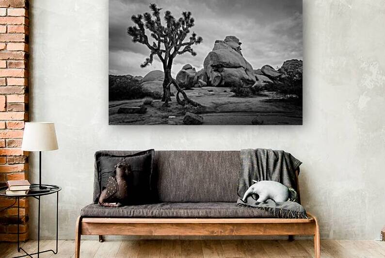 Joshua Tree national park Hidden Valley black and white by DELPHIMAGES