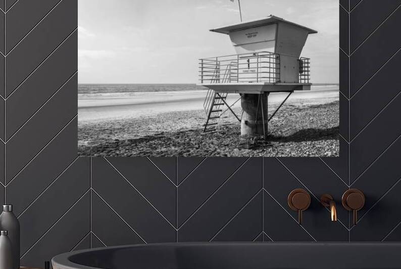 Torrey Pines beach San Diego black and white by DELPHIMAGES