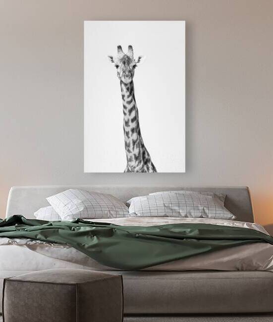 Tall & Timeless by Greg Westbrook