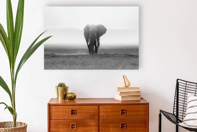 Majesty in Monochrome by Greg Westbrook