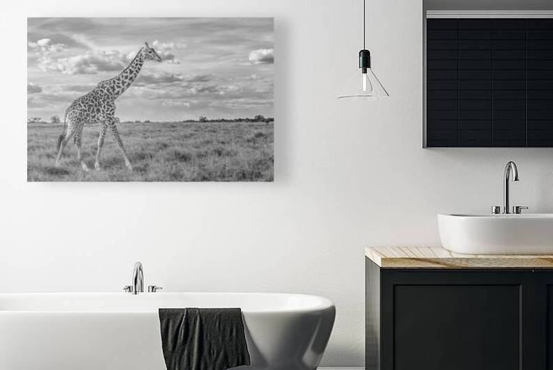 Plains and Patterns by Greg Westbrook