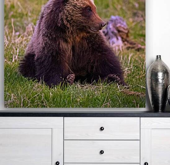 The Content Observer by Greg Westbrook