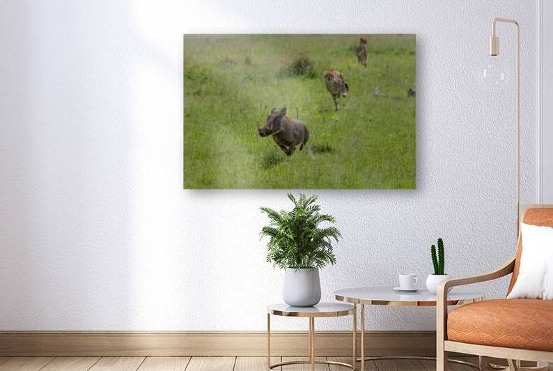 The Wild Chase by Greg Westbrook