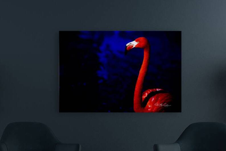 0213 2023 whitebirds 275 Enhanced NR by Susan Lynn Cooke