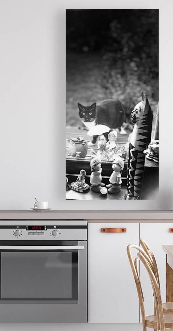 Everyday Lifes Moments- Unexpected Visitor by Catriona Roberts Nature Photography and Designs