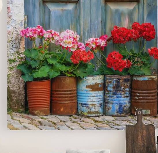 GERRIES IN RUSTY CANS by Thea Menagh