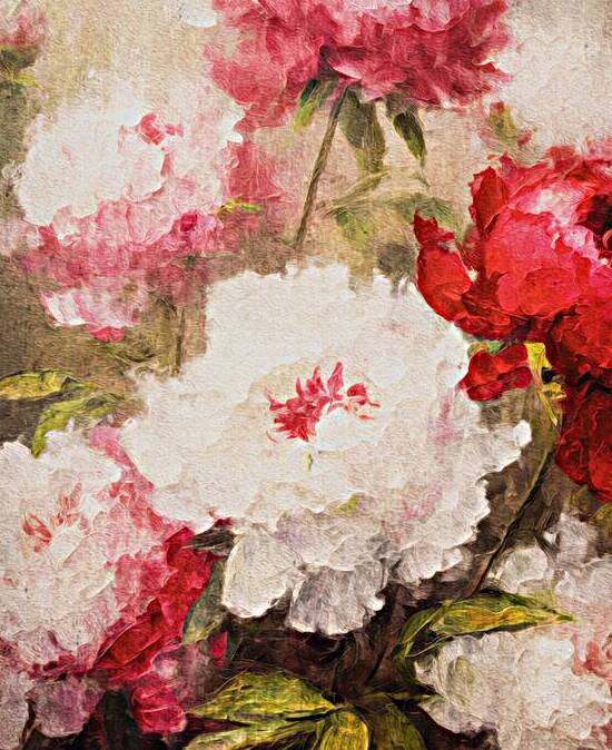 Peonies and Roses Alike by Thea Menagh